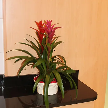 Eduard-Heinrich-Haus, Hostel Зальцбург